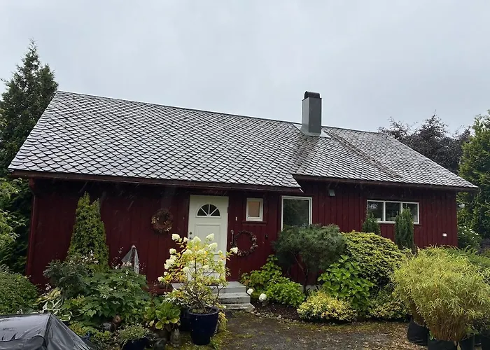 Fjord Near Preikestolen *