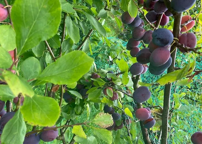 Fjord Near Preikestolen * Jørpeland