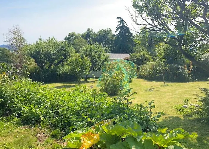 Fjord Near Preikestolen