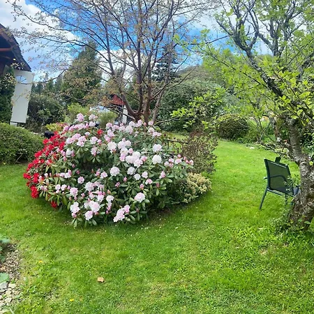 Fjord Near Preikestolen Jørpeland