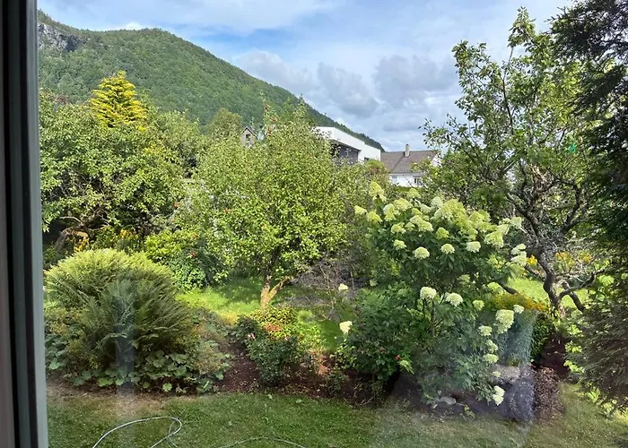 Fjord Near Preikestolen