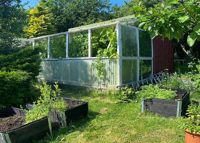 Fjord Near Preikestolen *